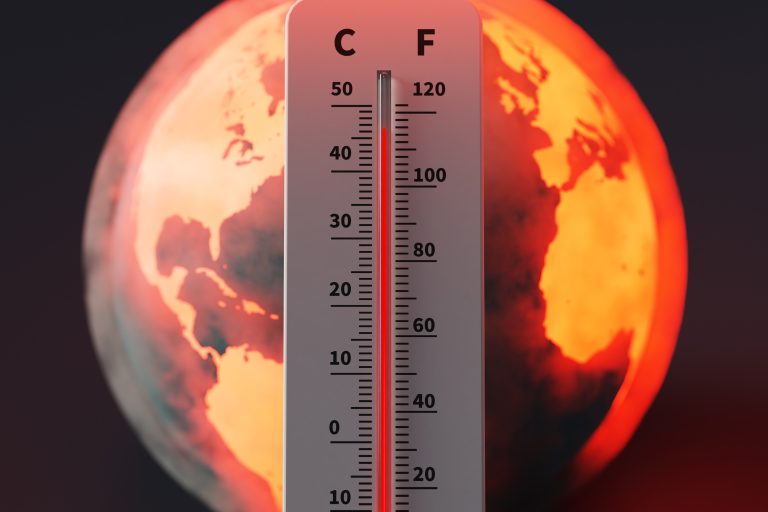 2024 年葡萄园地表气温将创历史新高